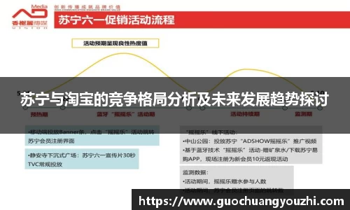 苏宁与淘宝的竞争格局分析及未来发展趋势探讨